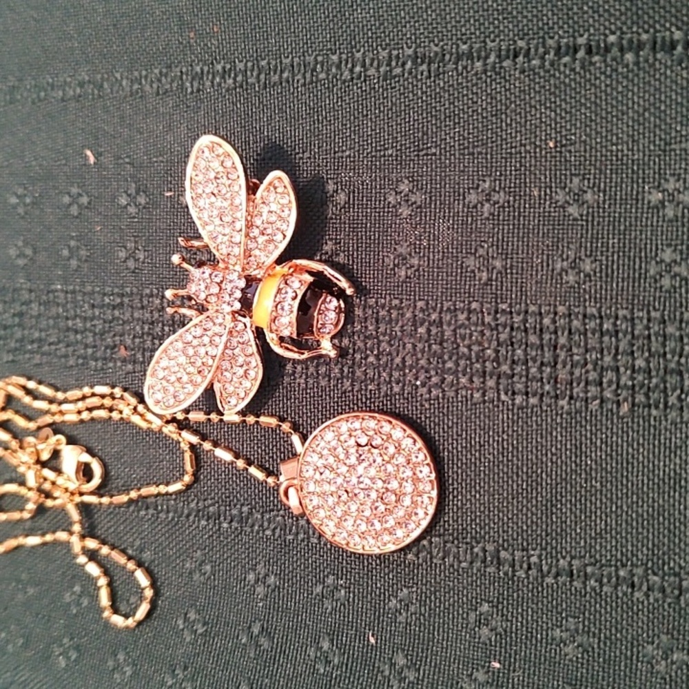 Dainty circle Cubic Zirconia Neclace With Mat Hing Bee Brooch